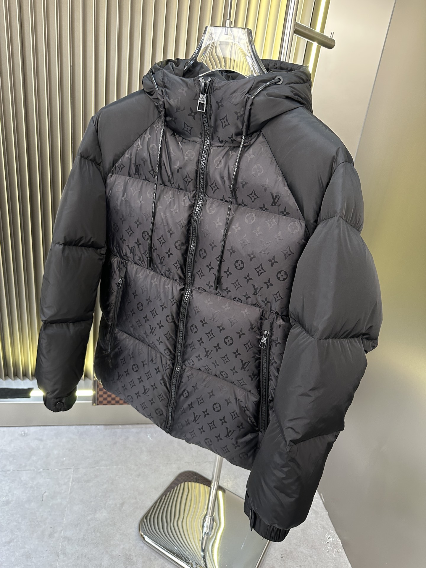 Louis Vuitton Down Jackets